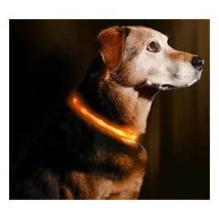TRIXIE LED ĮKRAUNAMAS ŠVIEČIANTIS antkaklis USB, silikonas, XS-XL 70cm/10mm, oranžinis