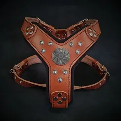 Bestia petnešos šunims Maximus, Mažiems 5–10 kg — 2 nuotrauka