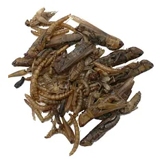 Hugro Protein-Mix