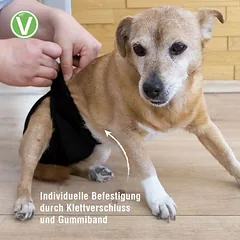 Vetlando daugkartinės sauskelnės kalytėms, Vidutiniams 11–25 kg — 4 nuotrauka