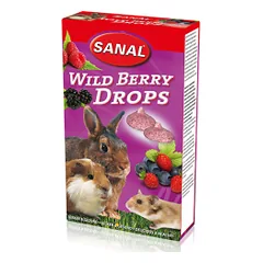 Sanal Wild Berry Drops skanėstai graužikams, 45 g nuotrauka