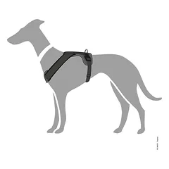HUNTER NEOPRENE petnešos iš neopreno šunims, M– L, pilkos — 4 nuotrauka