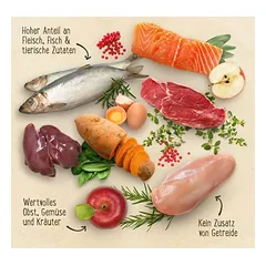Purizon bandomasis rinkinys 2 x 400 g, sausas maistas katėms — 3 nuotrauka