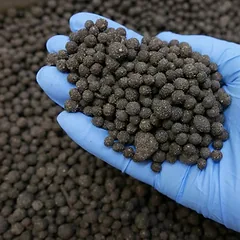 Biohome Biogravel 1kg