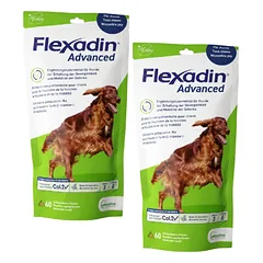 VETOQUINOL Flexadin Advanced 2x60 kąsnių