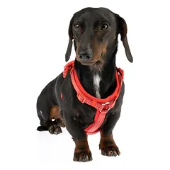 TIAKI Neoprene petnešos, raudonos, Dydis XL: 62 - 110 cm Krūtinės apimtis — 5 nuotrauka