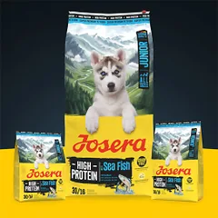 Josera Junior High Protein Sea Fish sausas maistas šunims, 12,5 kg — 2 nuotrauka