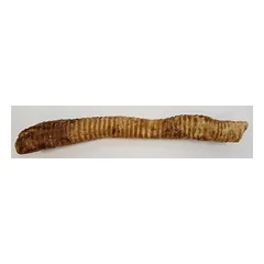 Dried beef trachea (long), pcs. — 3 nuotrauka