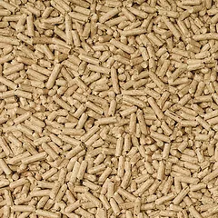 Cat’s Best Universal kraikas katėms, 10 l — 2 nuotrauka