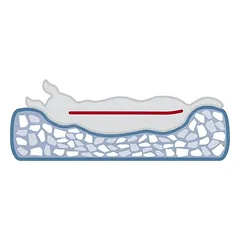 Trixie guolis Vital Noah — 4 nuotrauka