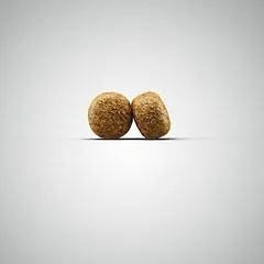Josera Super Premium Balance, sausas maistas šunims 900 g — 2 nuotrauka