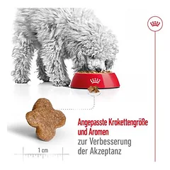 Royal Canin Mini Adult 8+ sausas maistas šunims, 5 - 9,9 kg — 5 nuotrauka