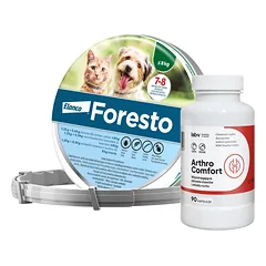 ELANCO Foresto Antkaklis katėms ir šunims sveriantiems mažiau nei 8kg + LAB-V Arthro Comfort - visapusiška sąnarių ir kaulų bei raumenų sistemos sveikata šunims ir katėms 90 kapsulių