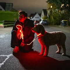 Nomad Tales Spirit USB LED bėgiojimo pavadėlis, oranžinis, 180–250 cm ilgio, 25 mm pločio — 3 nuotrauka