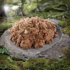 Wolf of Wilderness Adult – "Triple Taste" drėgnas maistas šunims 6 x 800 g — 4 nuotrauka