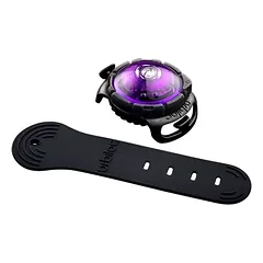 Orbiloc Dog Dual šviečiantis pakabukas, violetinis
