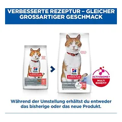 Hill's Science Plan Adult Sterilised su lašiša, sausas maistas katėms, 5 - 9,9 kg — 2 nuotrauka
