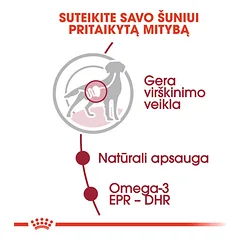 ROYAL CANIN SHN medium adult  konservai suaugusiems vidutinio dydžio šunims 10x140 g — 3 nuotrauka