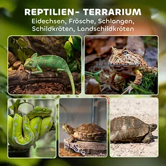 Terariumas 30 x 30 x 30 cm — 4 nuotrauka