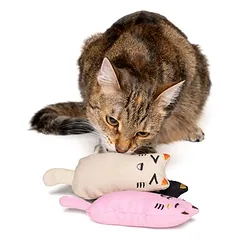 zooplus Basics žaislų katėms rinkinys Kitty su katžole, 4 vnt. — 4 nuotrauka