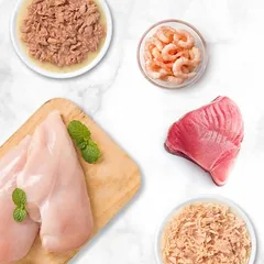 Catit Cuisine Fillet Thunfisch nuotrauka