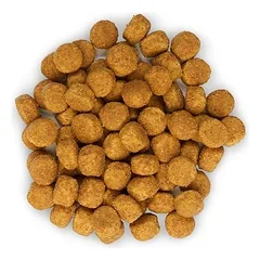 Hill's Science Plan Medium Chicken Adult 1-6 sausas pašaras šunims, 14 kg — 2 nuotrauka