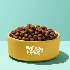 BARKING HEADS Hair Necessities Salmon paš šun su lašiša 2kg — 2 nuotrauka