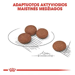 ROYAL CANIN Mini Digestive care sausas maistas mažų veislių šunims, 1 kg — 5 nuotrauka
