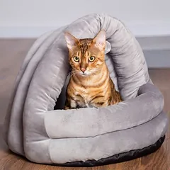 Modern Living jaukus urvas katėms Fes, L 50 x B 40 x H 45 cm — 3 nuotrauka