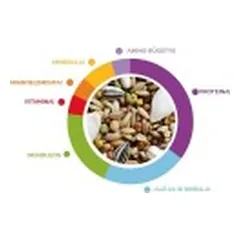 Wellness Pappagalli maistas didžiosioms papūgoms 750 g — 2 nuotrauka