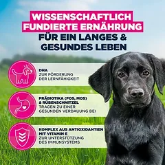 Eukanuba Premium Nutrition Puppy Large & Giant Breed su vištiena, sausas maistas šuniukams, > 10 kg — 5 nuotrauka