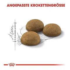 Royal Canin Indoor Long Hair sausas maistas katėms, > 10 kg — 3 nuotrauka