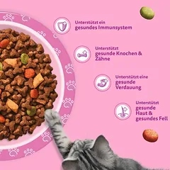 Whiskas Junior su vištiena, sausas maistas kačiukams, 1,5 - 2,9 kg — 2 nuotrauka