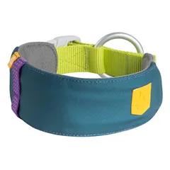 Woolly Wolf Alpha 360 Collar Deep Teal Mix antkaklis šunims iš perdirbto plastiko, M — 1 nuotrauka
