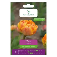 Tulipai Sun Lover, 5 vnt.