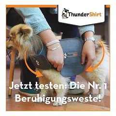 ThunderShirt® nuraminanti liemenė šunims, pilka, Labai dideliems > 45 kg — 5 nuotrauka