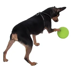 Snackball Hund — 4 nuotrauka