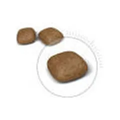 Royal Canin FCN URINARY CARE sausas maistas katėms 10 kg — 2 nuotrauka