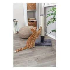 Trixie Batres draskyklė katėms, platinos pilkos spalvos, 62 cm — 2 nuotrauka