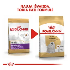 ROYAL CANIN BHN Maltese adult sausas maistas suaugusiems Maltos bišonų veislės šunims 1,5 kg — 5 nuotrauka