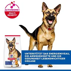 Hill's Science Plan Mature Adult 6+ Large su vištiena, sausas maistas šunims — 4 nuotrauka