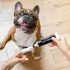 Petosan TOOTHPASTE 70 g — 3 nuotrauka