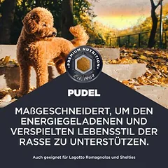 Eukanuba Adult Breed Care Pudel