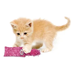 KONG kitten kickeroo žaislas katėms su kačių mėta ir šnarėjančia uodega — 3 nuotrauka