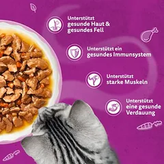 Whiskas Aromatic Selection drėgnas maistas katėms 40 x 85 g, 80 - 99 g — 2 nuotrauka