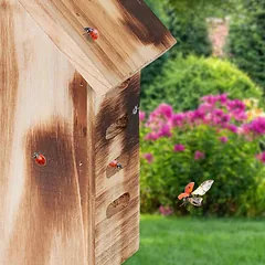 Vabzdžių viešbutis 22x17x10cm., šviesiai rudos spalvos — 5 nuotrauka