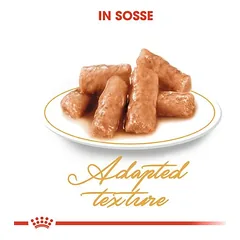 Royal Canin British Shorthair Adult padaže, drėgnas maistas katėms, Sparpaket: 24 x 85 g — 3 nuotrauka