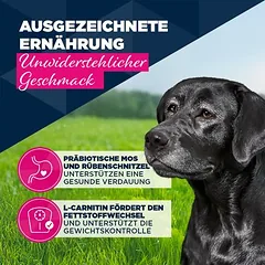Eukanuba Senior su ėriena ir bulvėmis, drėgnas maistas šunims — 2 nuotrauka