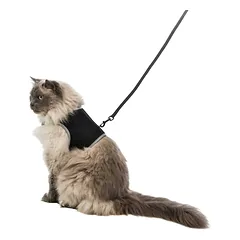 Trixie Soft Harness With Leash for Cats krūtinės diržas-liemenė su pavadėliu katėms, XL, 36–54 cm, 1.20 m — 3 nuotrauka