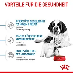 Royal Canin Giant Starter Mother & Babydog sausas maistas šunims, Ekonominė pakuotė: 2 x 15 kg — 5 nuotrauka